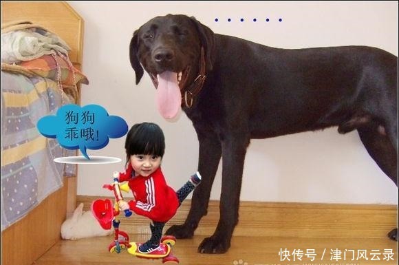 无始大帝|一和盘点我喜欢的辰东《遮天》中的人族大帝