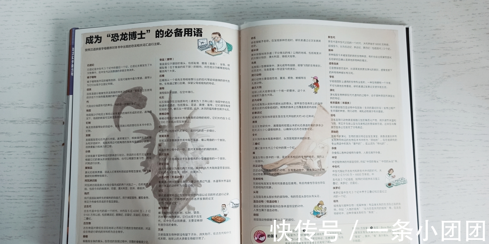 哆啦a梦#一本关于恐龙的百科书，让孩子爱上恐龙的世界