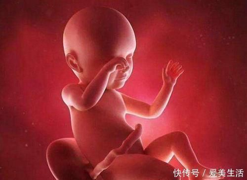 b超|宝宝的性别是什么时候决定的,是受精时还是受精后呢