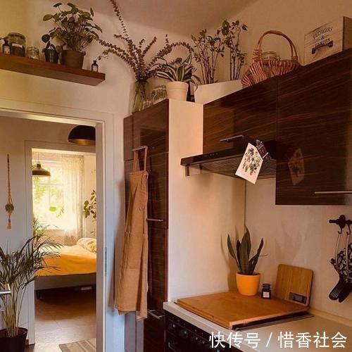 小猫咪|德国夫妇的家，女主人把家布置复古又舒适，很有老电影里的味道！