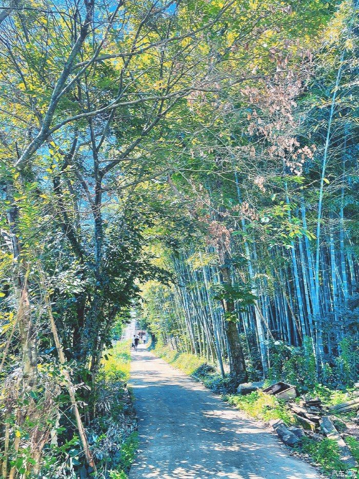 水墨丹青|【多彩六月】给祖母祝寿 宏村老家探亲记