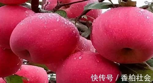 葡萄干|每天晚上吃3种食物，营养丰富、延缓衰老，好吃又不贵！