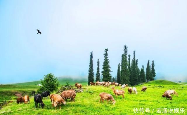 通车倒计时新疆最美公路即将开封，你准备好了吗思鹿旅行推荐