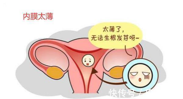 胚胎|取卵多但医生为什么不建议移植鲜胚胎呢