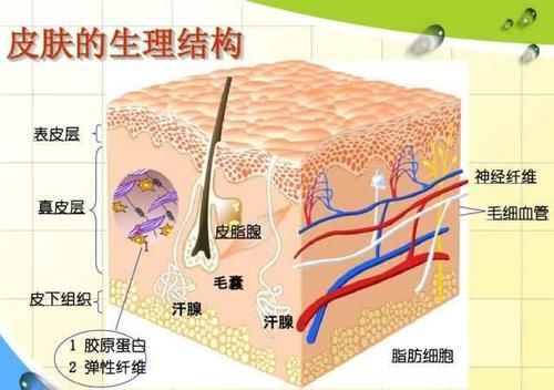 ME护肤：天天戴口罩，是不是就不用做护肤、防晒了？
