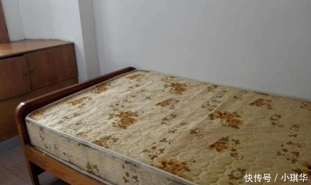 床垫|床垫用久了, 螨虫成窝 只需2片叶子, 不用晒, 螨虫也能自动消失