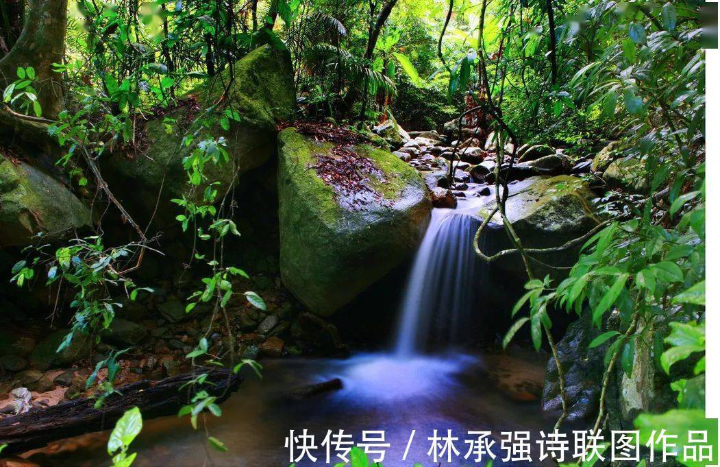 霸王岭|海南霸王岭自然保护区（联）