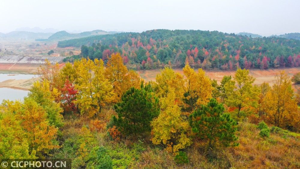 初冬|湖南新田：多彩初冬景色如画