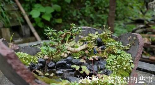 个性|破壶烂瓦做盆,每一个都破出了个性