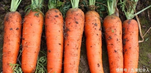 美食|在汉朝皇帝可以吃到什么美食?