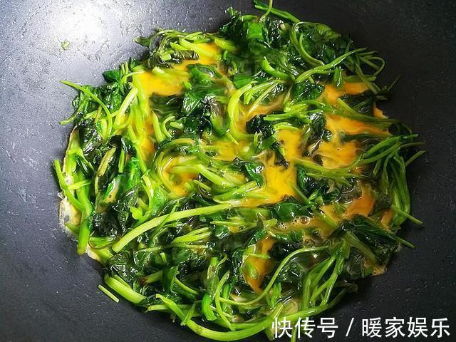 鸡蛋和此菜是绝配,比炒韭菜更香,比炒番茄更好吃,万万不可错过