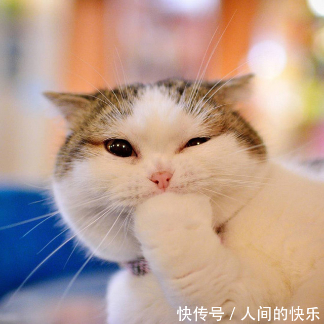 |搞笑段子:女朋友有个坏习惯,吃饭时喜欢把一只脚踩到凳子上