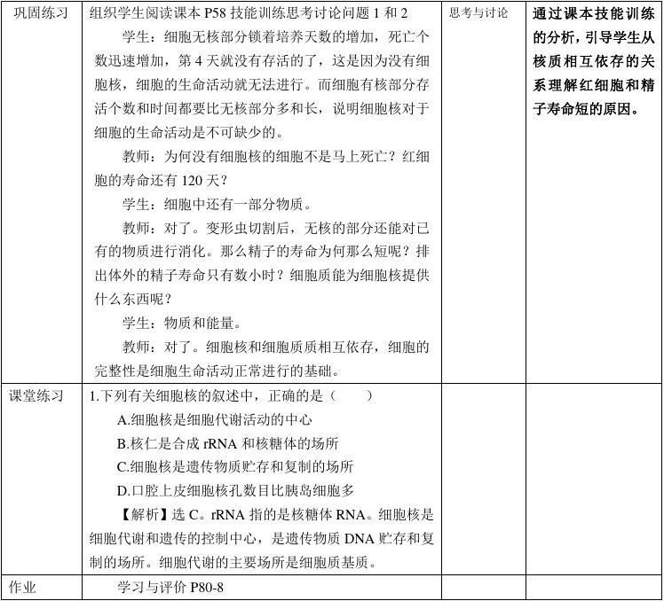 高中生物教案模板