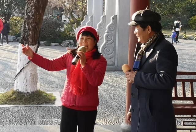 市民|杭州西湖最低零下1度 流浪猫静趴景观灯罩取暖 市民边拍摄边同情