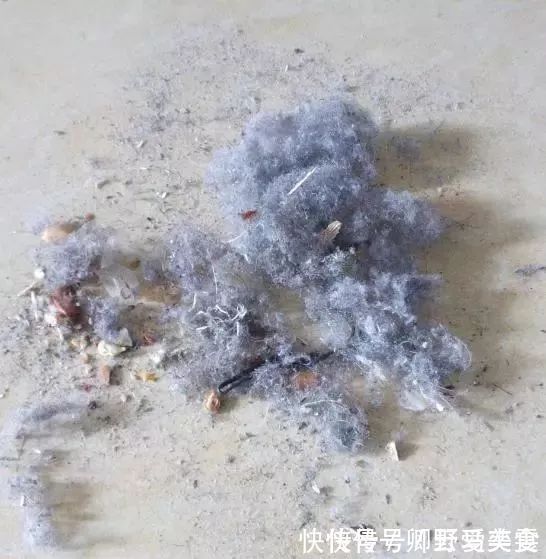 抹布|家里每天擦还是有积灰?聪明主妇教你一招,3天不擦都不落一粒灰