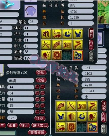 铁柱|梦幻西游：各种狗托令人羡慕，三只10技能净台画魂挑战打书几率！
