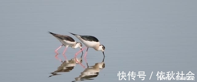 清净|《老子》:一个人具备玄德,有6个特征,真正做到顺其自然