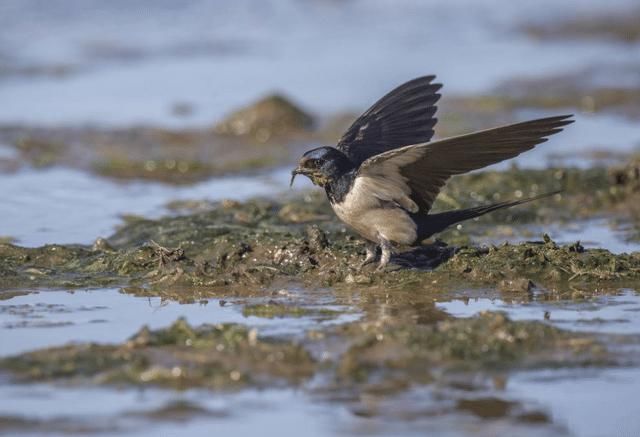  对饮|古人讲究“父子不同桌，叔侄不对饮”，有道理吗？农村人看完秒懂