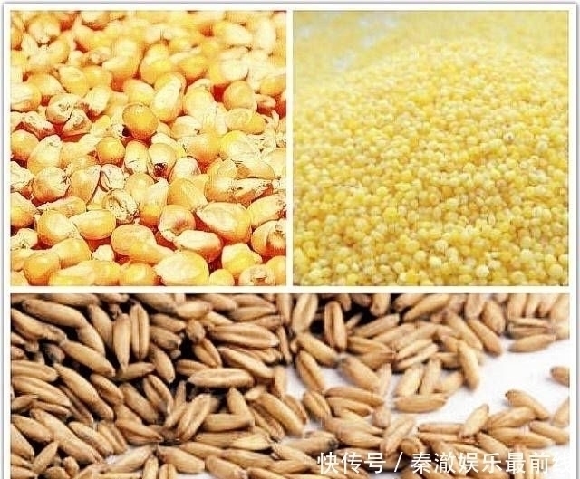 玉米粒|如果你想钓鱼，不要依赖商业鱼饵，你必须依赖它们