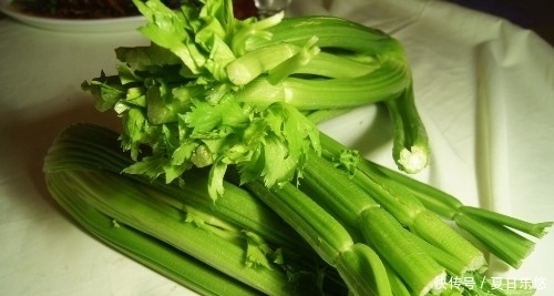 红枣和此菜一起煮,治疗高血压,降低血液黏稠度,改善血管硬化