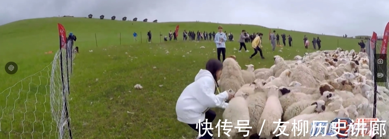 何洛洛|《极限挑战宝藏行2》:各路成员抓羊姿势大赏