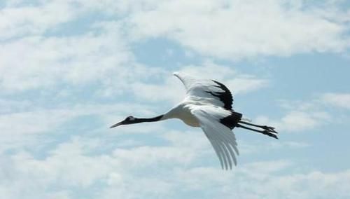 王叔文$刘禹锡被贬写了首诗,豁达豪气,短短四句通篇皆名句,激励无数人