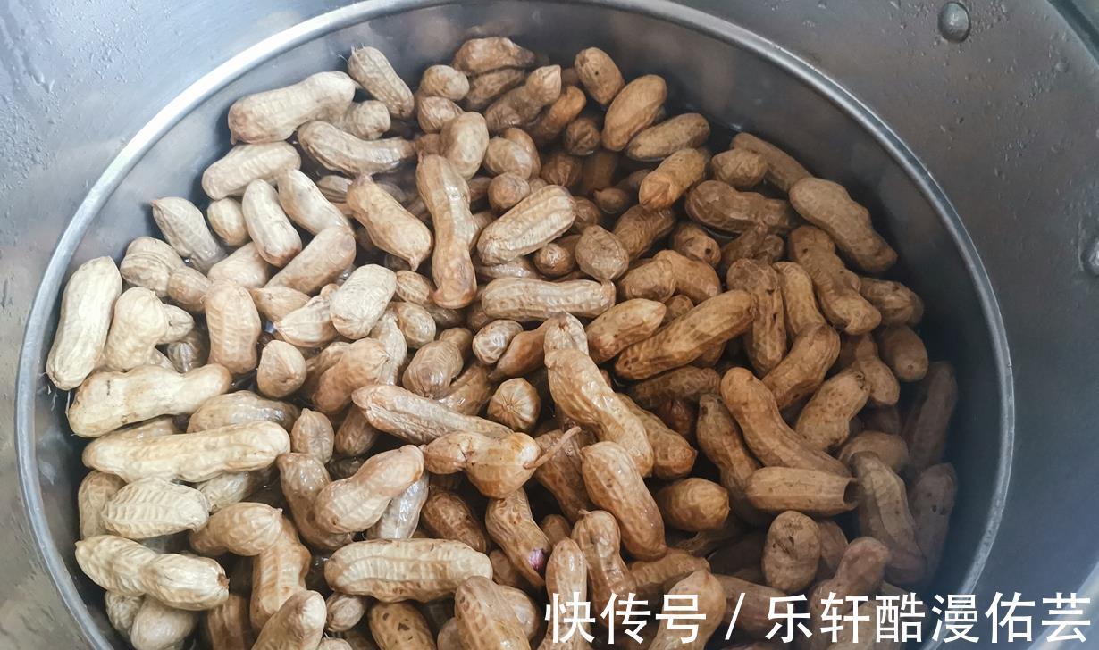 鲜花生|夏天多吃它,这季节正当时,遇到多买些冻到冰箱慢慢吃,特省事