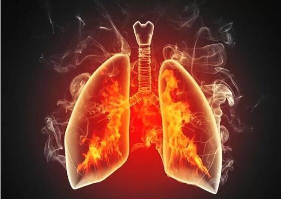 栀子|心火、胃火、肝火、肺火、肾火,一个4味药方,五脏之火通通扑掉