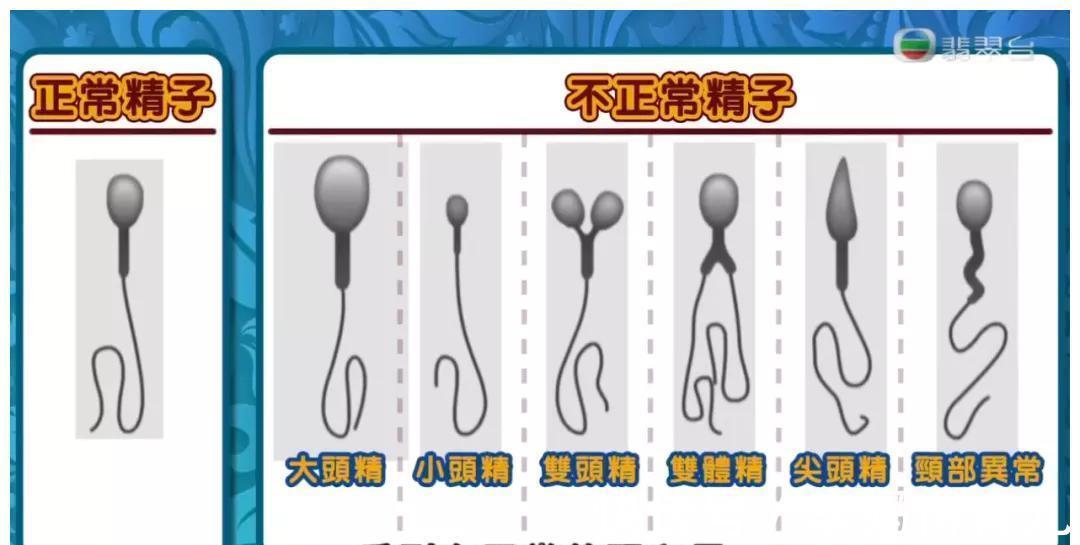 怀孕|她越大胆，我越想为她叫好