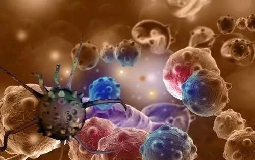 医生|长期喝茶的人与喝白开水的人相比，哪个更健康？医生告诉你答案