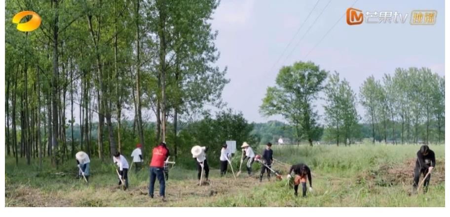 陈赫|《向往5》即将收官，节目组“硬推”流程引争议，张艺兴差评出现