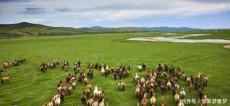 蒙古族|蒙古族的起源和历史是什么！