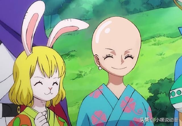 草帽团|《海贼王》草帽团被全员剃光头，娜美不再女神，布鲁克毫无违和感