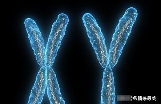 健康|这3种“毛病”,可能会“隔代遗传”,为宝宝健康,花两分钟看看