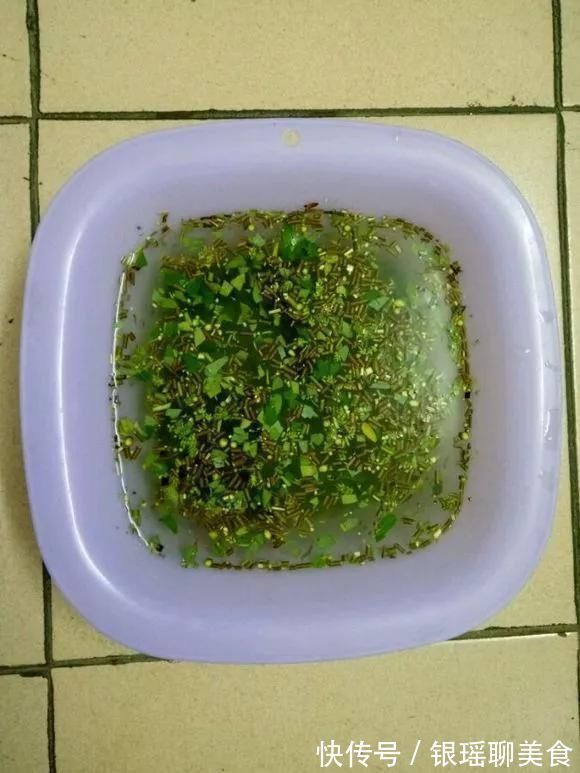 生根水还买4种东西放水里,大白根呼呼冒,扦插用得上