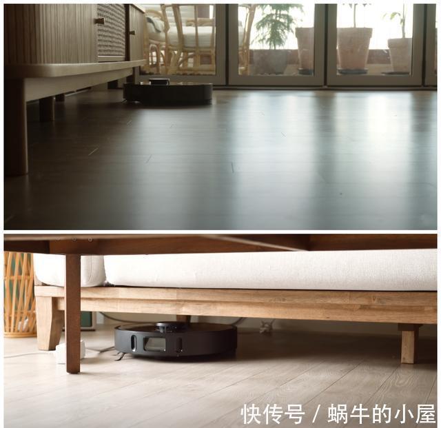一人|一人一狗，独居生活有条有序，要是没结婚，我也想过这样的生活