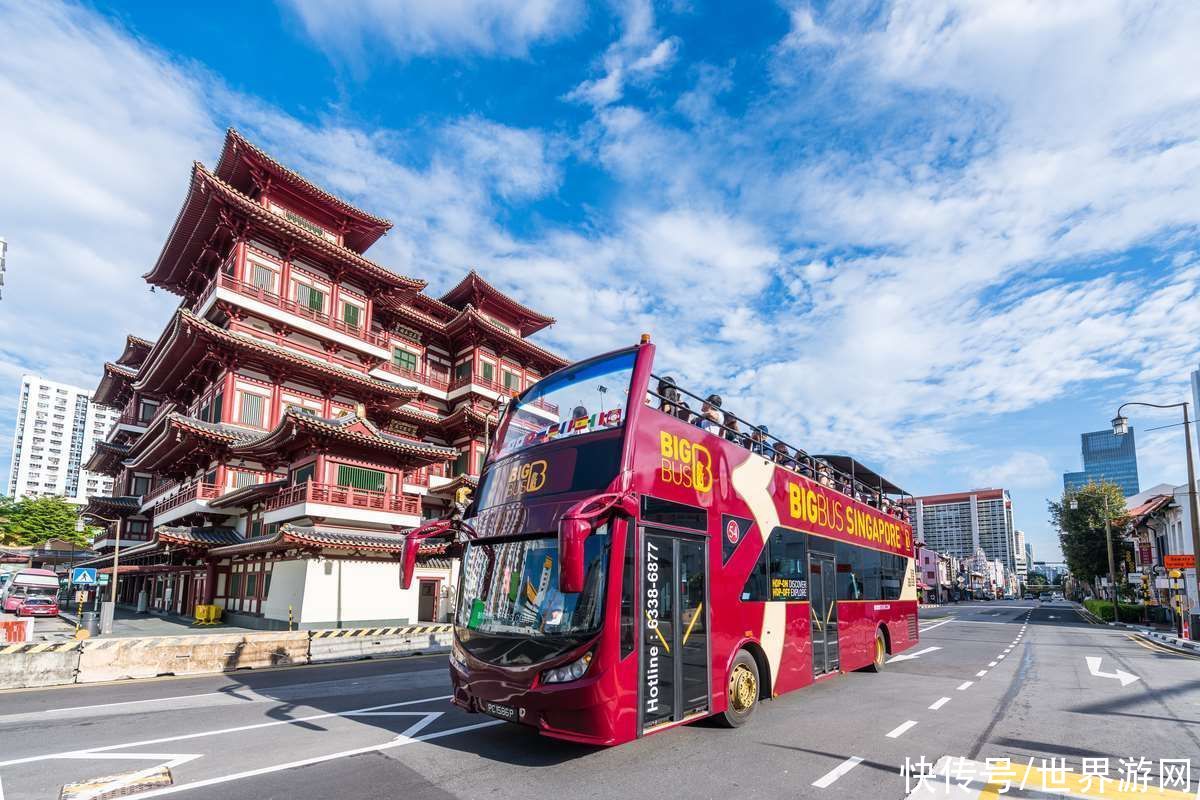 老年|懒人旅游大法——新加坡巴士观光旅游攻略