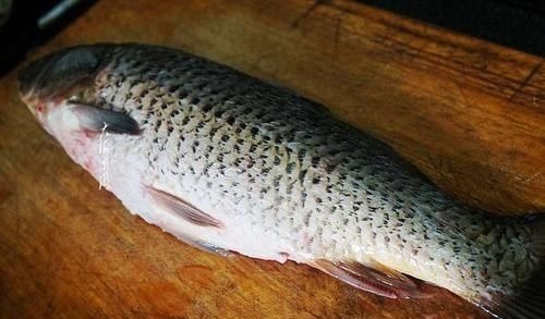 鱼刺卡在喉咙里,不要只会喝醋了,教你1招,鱼刺自己跑出来!