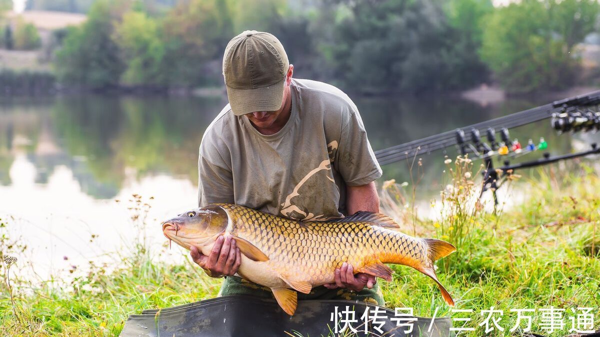 降温钓不到鱼？分3种情况，这2种情况不去钓鱼是浪费