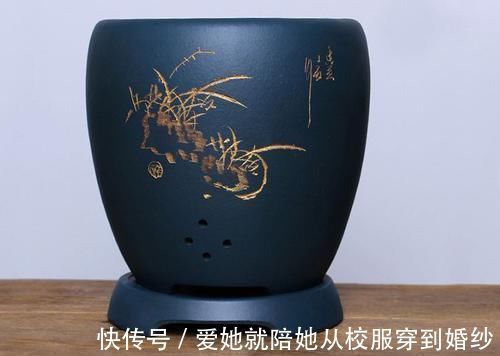 浇水|君子兰的浇水是一个技术活,会浇水就会养君子兰