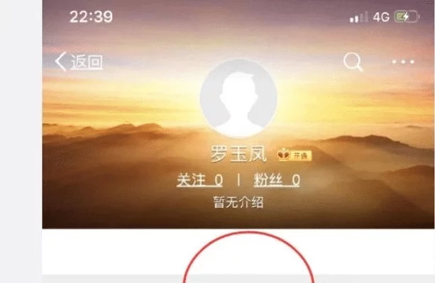 罗玉凤微博