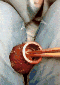 |搞笑GIF:孩子你开冰柜的方法总是那么特殊!