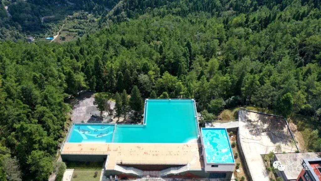 修树屋、帐篷酒店、无边泳池……金银山上在悄悄咪咪干大事