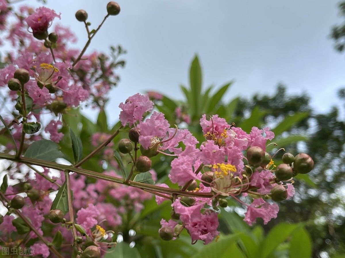 事物|《老子》的智慧:除了强大,我们别无选择