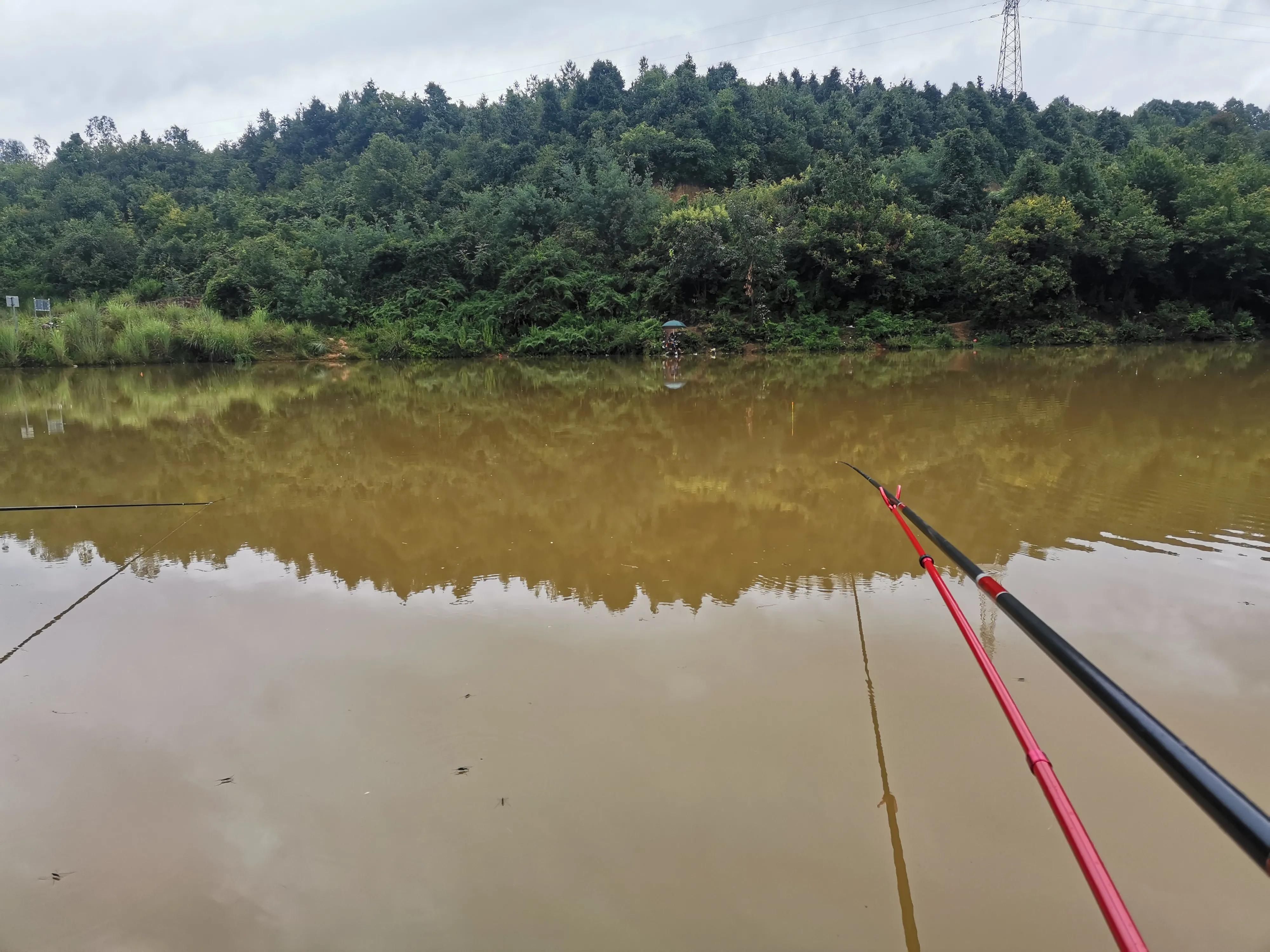 昆明|楚雄大新坝水库探钓，钓法饵料无限制，仅收50一天还能钓鲢鳙