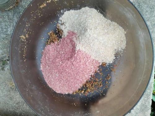 天然的钓饵“添加剂”,鲫鱼喜欢吃,鲤鱼抢着吃,你用过吗?