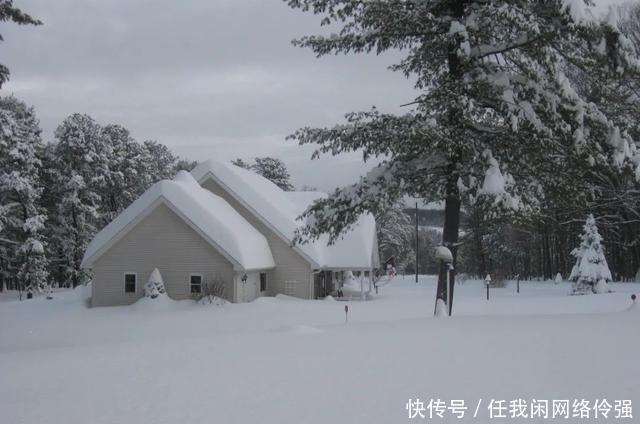 纽约州天降暴雪足足一米厚！车和房全都被埋了，只剩白茫茫！