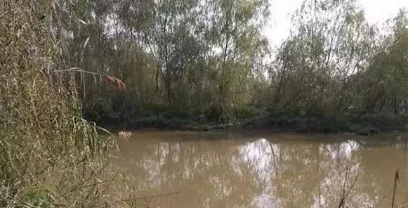 冬钓鲫鱼,牢记3钓、3不钓,精准找鱼,从不走空