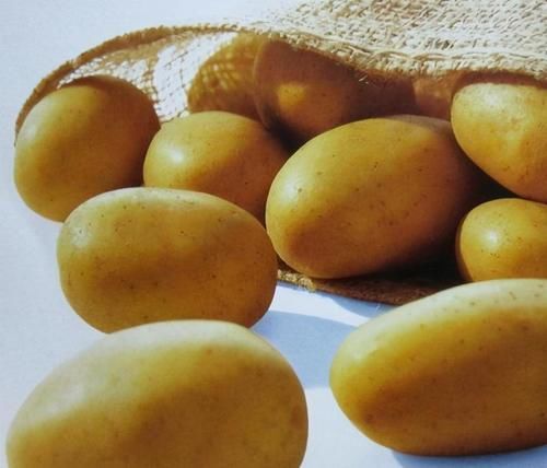 維生素|預防身體衰老，多吃養(yǎng)生食物，呵護肌膚、保養(yǎng)容顏，吃了不顯老