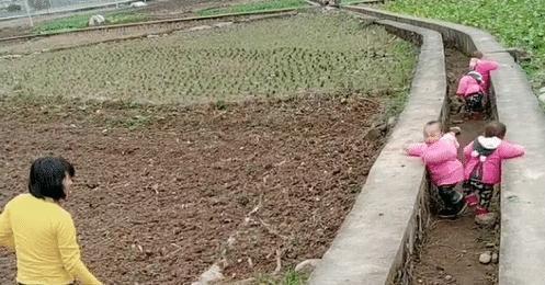 辅助工具|“最勤劳奶奶”火了,一人带四娃还干农活,网友:真正的“圈养”